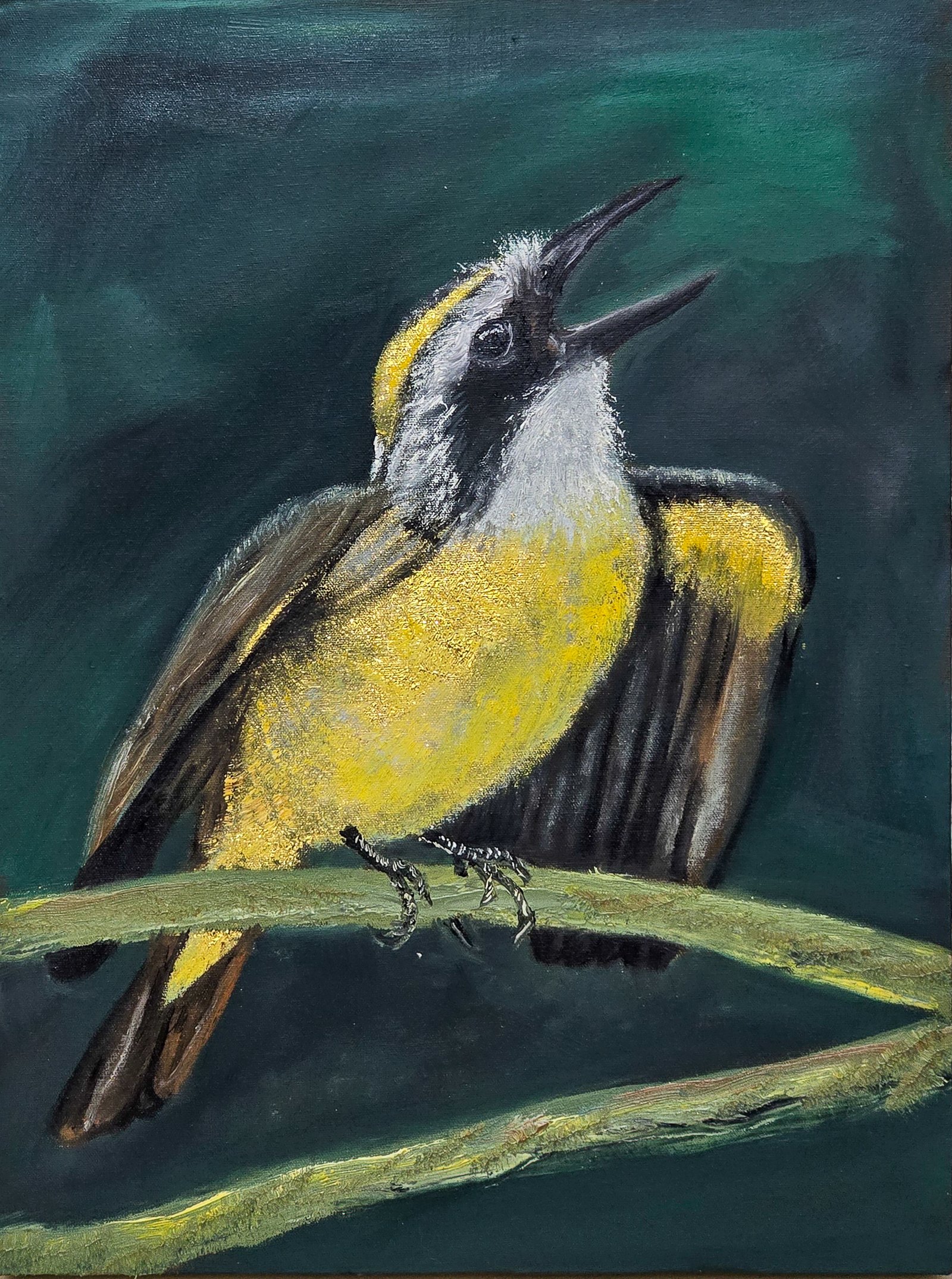 Bem-te-vi - Yohana Magno