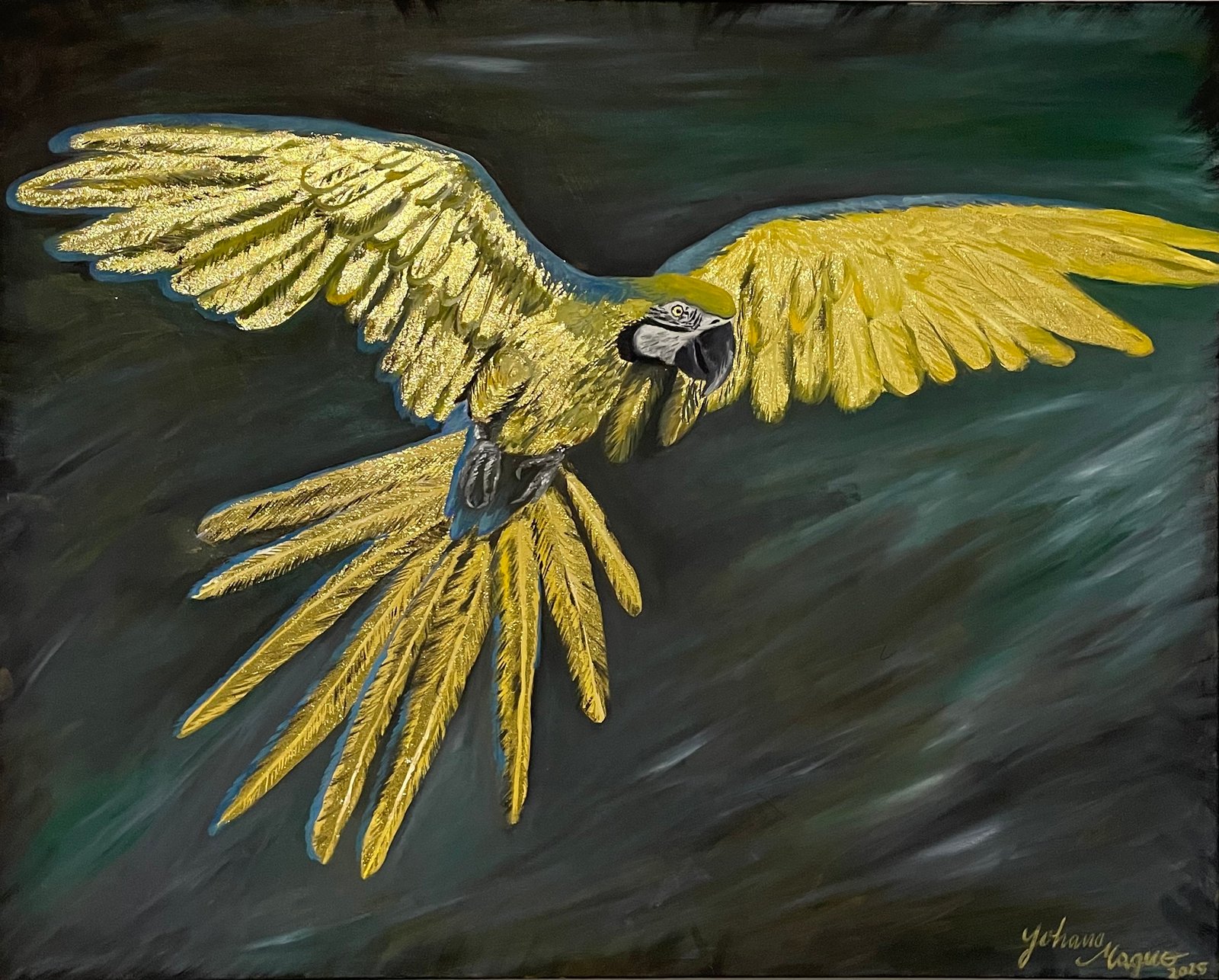 Arara Canindé - Yohana Magno