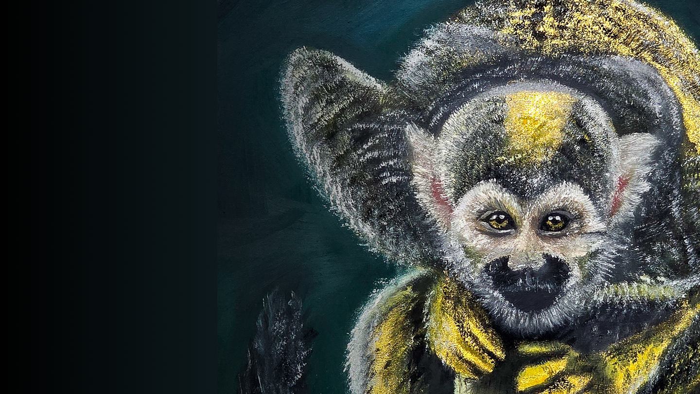 Tesouros da Amazônia — Yohana Magno