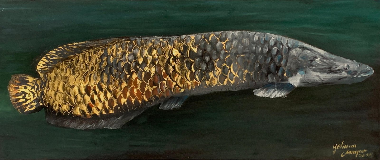 Pirarucu - Yohana Magno